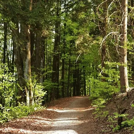 Waldhauser * Breitenberg (Lower Bavaria)