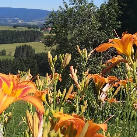 Waldhauser Breitenberg (Lower Bavaria)