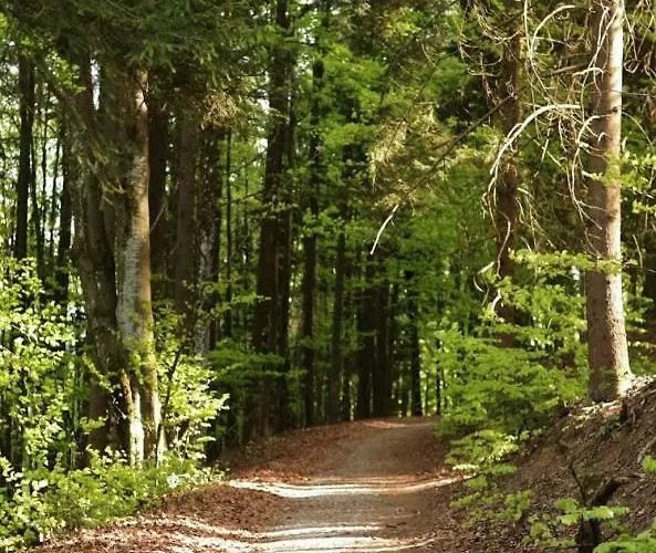 Waldhauser * Breitenberg (Lower Bavaria)